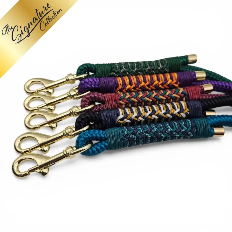 Signature Collection - Firle Lead - Group Shot_2 - web.webp