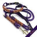 Signature Collection - Firle Lead - Odessa - web.webp