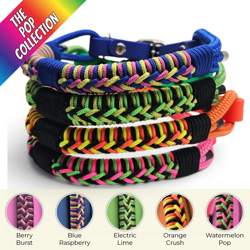POP-Firle Collar-all_2-web.webp