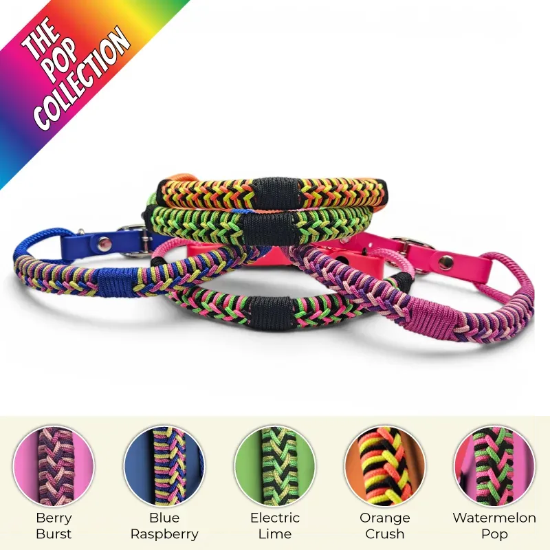 POP-Firle Collar-all_1-web.webp