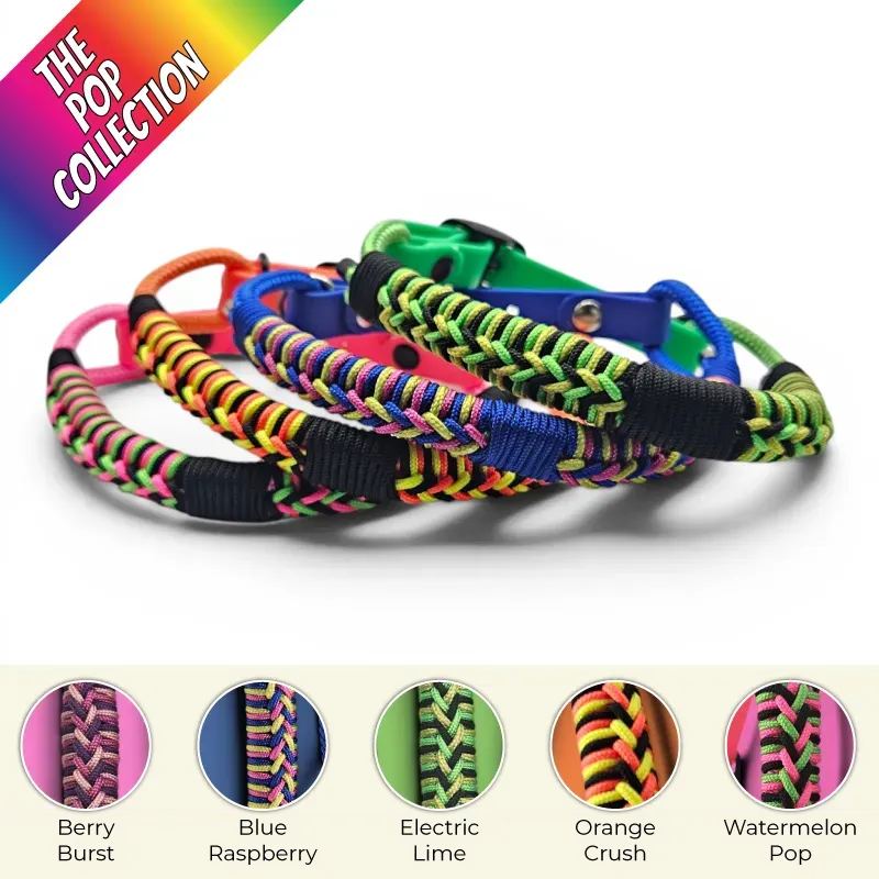 POP-Firle Collar-all-web.webp