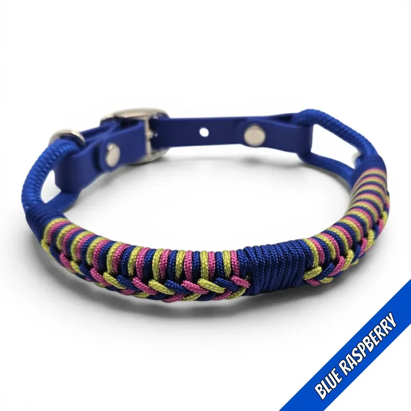 POP-Firle Collar-Blue Raspberry 2_1-web.webp