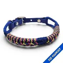 POP-Firle Collar-Blue Raspberry 2_1-web.webp
