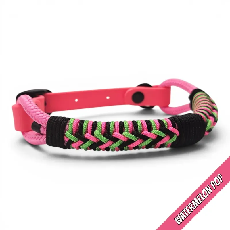 POP-Firle Collar-Watermelon POP 2-web.webp