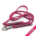 POP-Firle lead-Berry Burst_1-web.webp