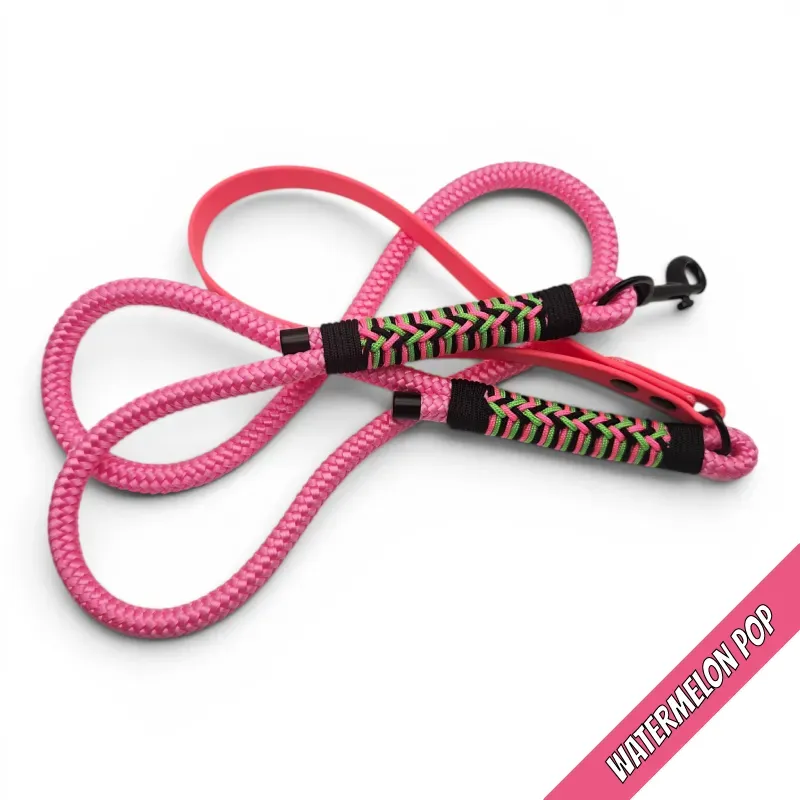 POP-Firle lead-Watermelon POP-web.webp