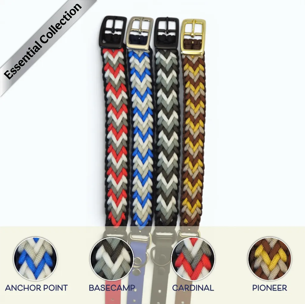 WILMINGTON COLLAR-GROUP-SUB-WEB.webp