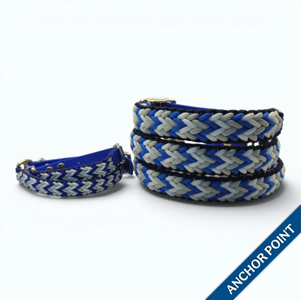 WILMINGTON COLLAR-ANCHOR POINT_2-WEB.webp
