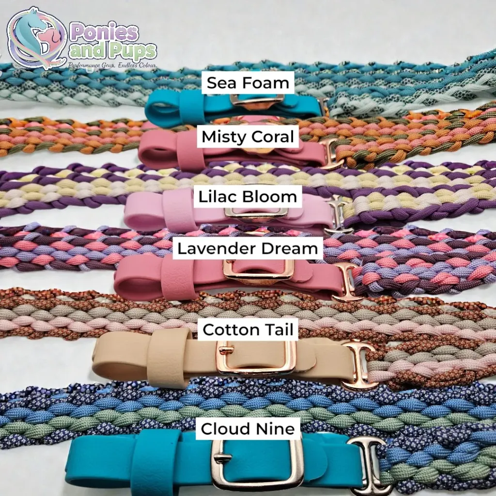 Groupshot02 (1).webp