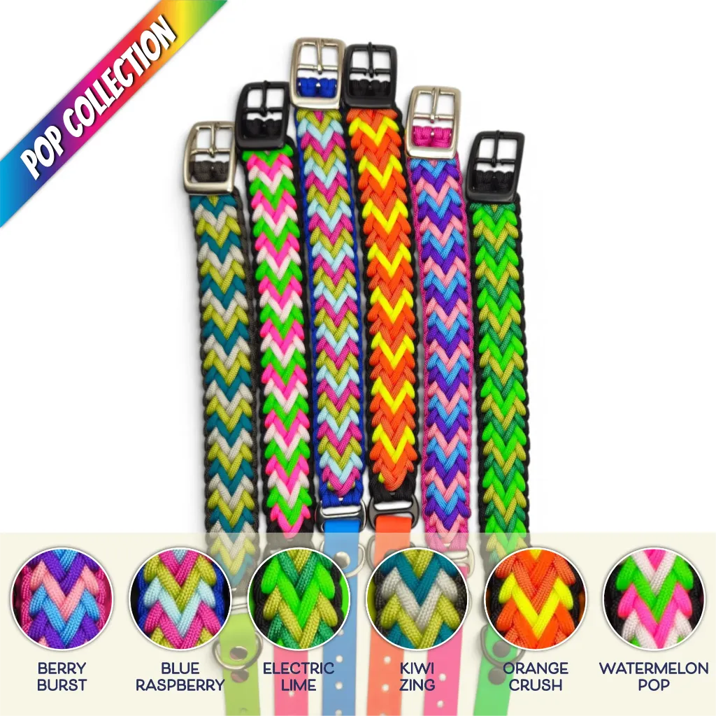 WILMINGTON COLLAR-GROUP-SUB-WEB.webp
