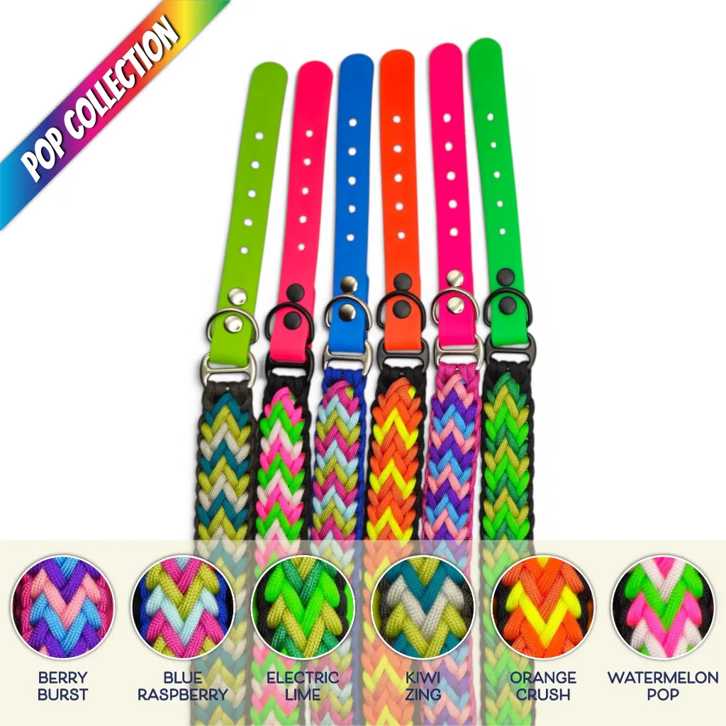 WILMINGTON COLLAR-GROUP-SUB_1-WEB.webp
