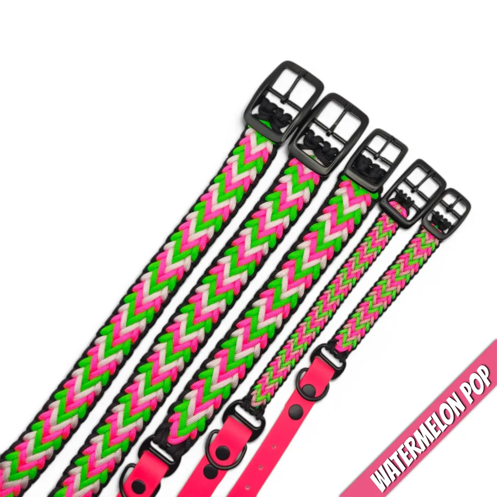 WILMINGTON COLLAR-WATERMELON POP_1-WEB.webp