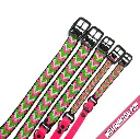 WILMINGTON COLLAR-WATERMELON POP_1-WEB.webp