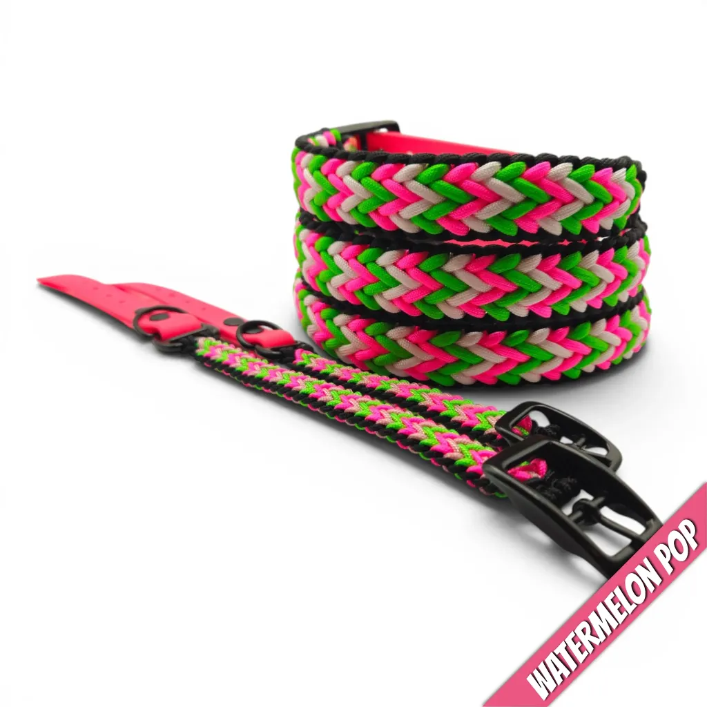 WILMINGTON COLLAR-WATERMELON POP-WEB.webp