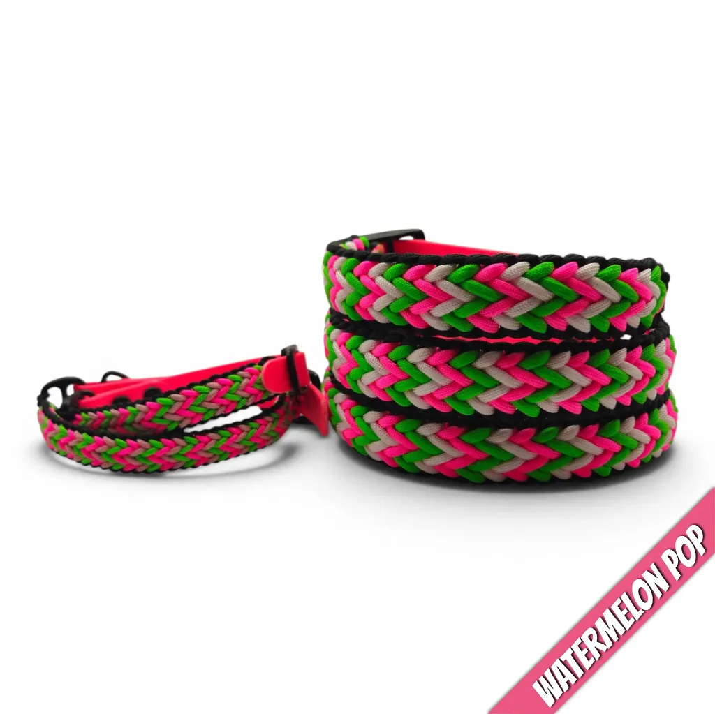 WILMINGTON COLLAR-WATERMELON POP_2-WEB.webp