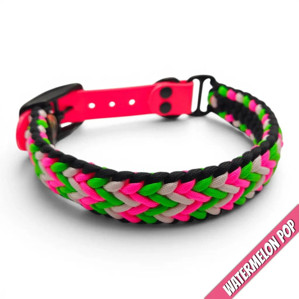WILMINGTON COLLAR-WATERMELON POP_3-WEB.webp