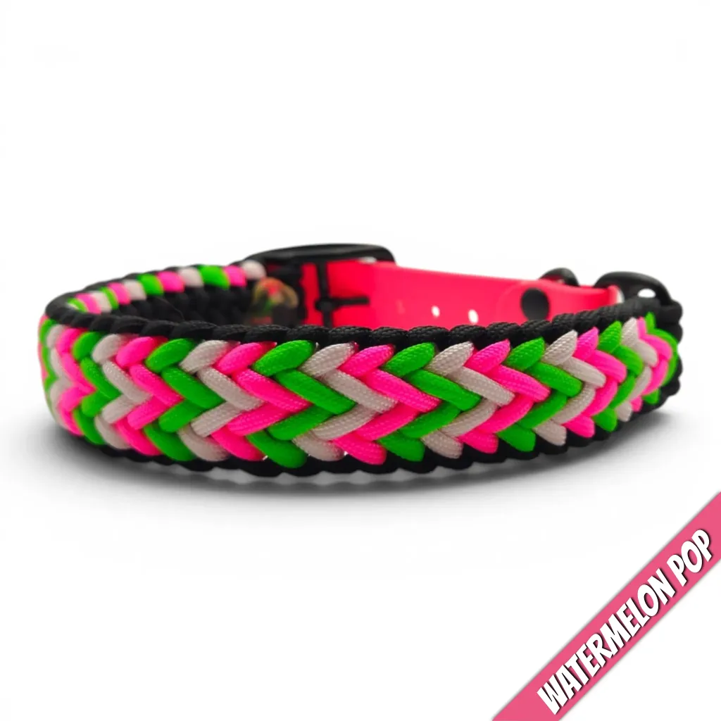 WILMINGTON COLLAR-WATERMELON POP_4-WEB.webp