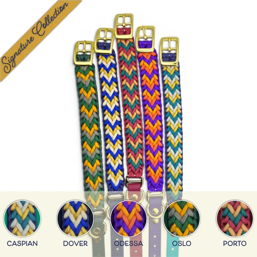 WILMINGTON COLLAR-GROUP-SUB-WEB.webp