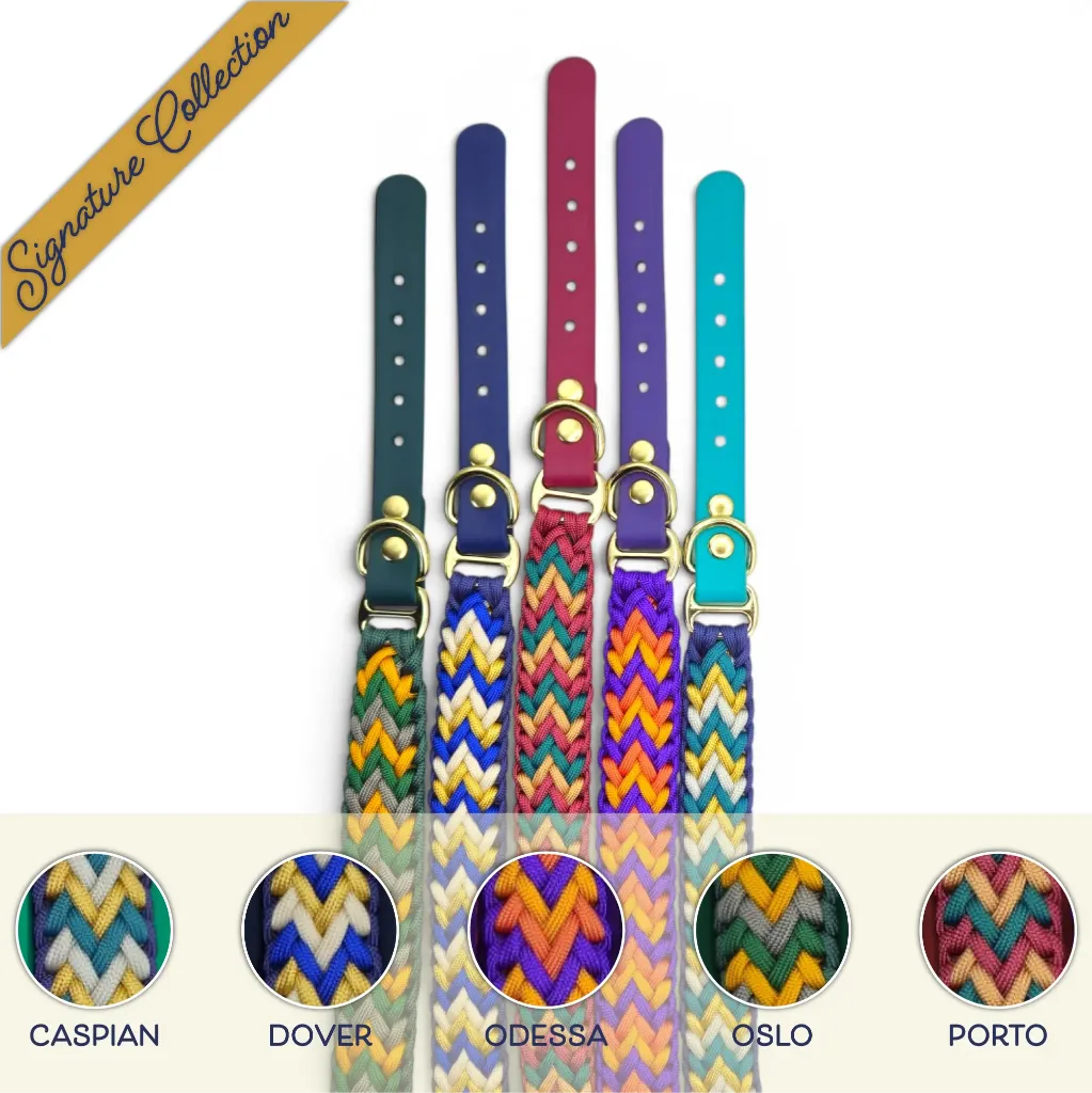 WILMINGTON COLLAR-GROUP-SUB_1-WEB.webp