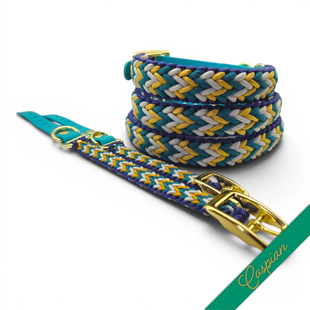 WILMINGTON COLLAR-CASPIAN-WEB.webp