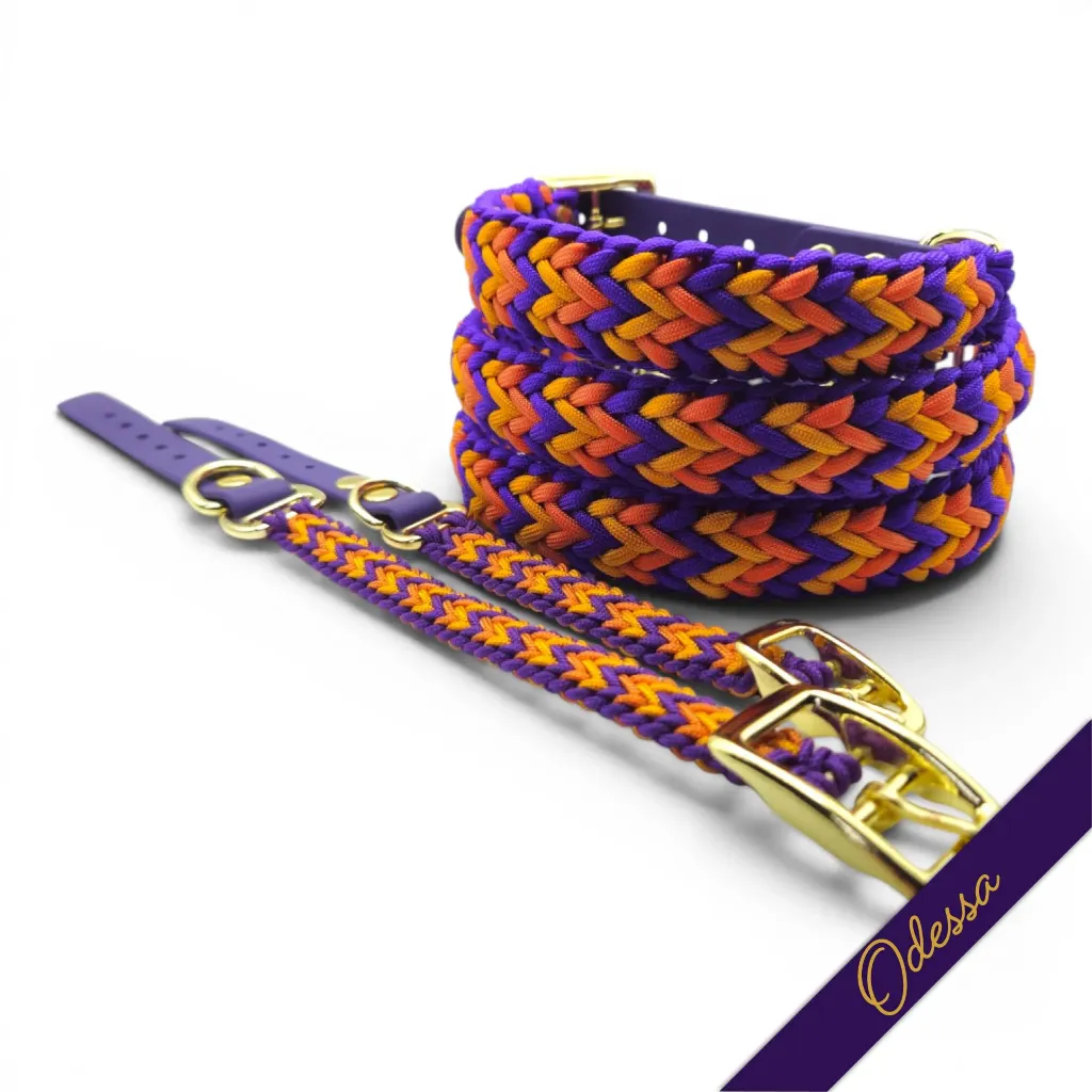 WILIMINGTON COLLAR-ODESSA-WEB.webp