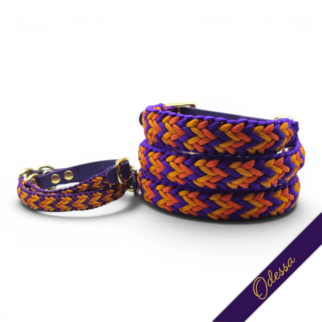 WILMINGTON COLLAR-ODESSA_2-WEB.webp