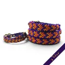 WILMINGTON COLLAR-ODESSA_2-WEB.webp