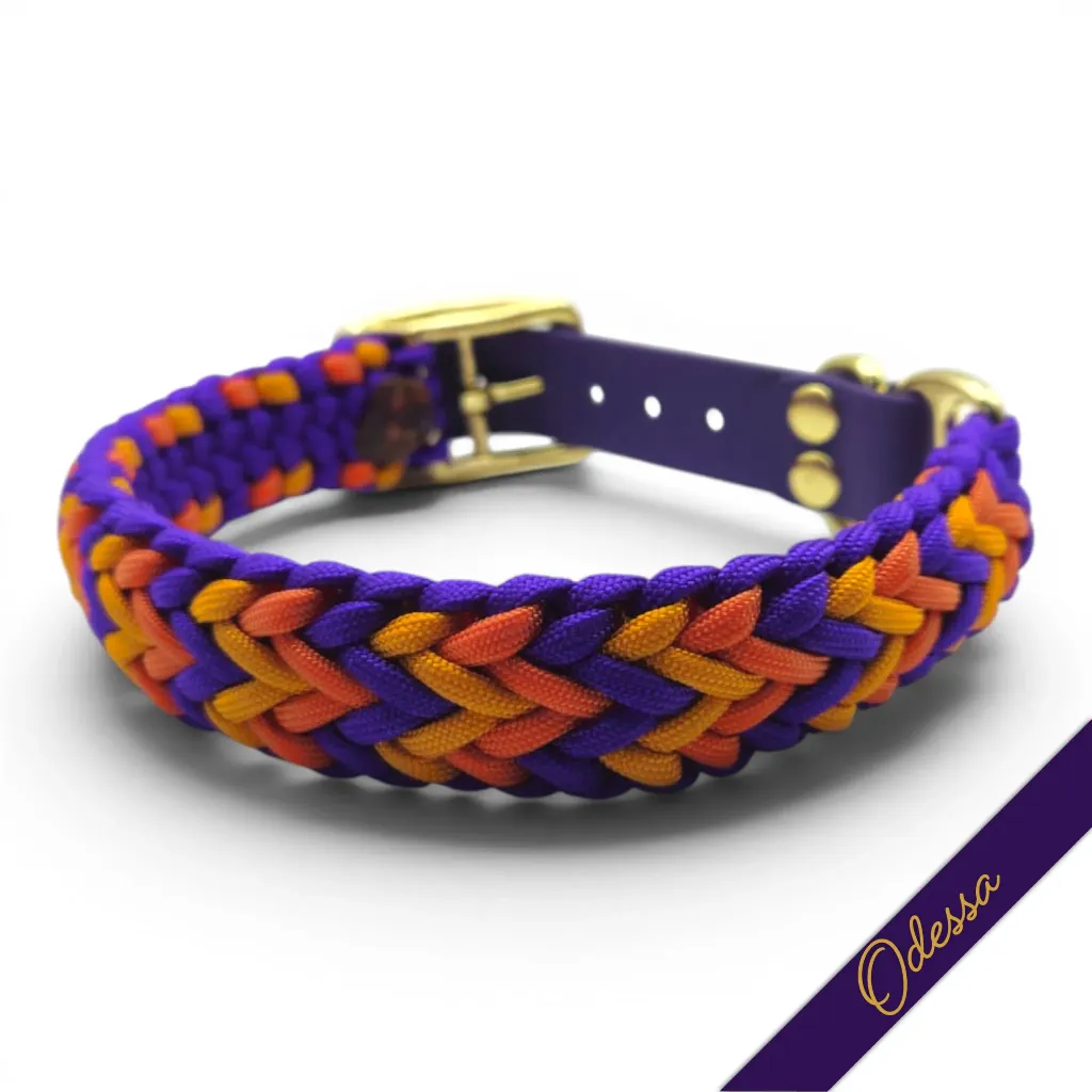 WILMINGTON COLLAR-ODESSA_3-WEB.webp