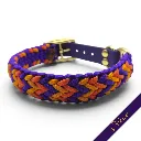 WILMINGTON COLLAR-ODESSA_3-WEB.webp