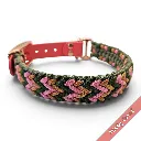 WILMINGTON COLLAR-MISTY CORAL_4-WEB.webp