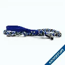 WILMINGTON LEAD-ANCHOR POINT_2-WEB.webp
