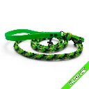 WILMINGTON LEAD-ELECTRIC LIME-WEB.webp