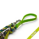 WILMINGTON LEAD-KIWI ZING_1-WEB.webp