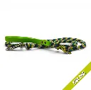 WILMINGTON LEAD-KIWI ZING_2-WEB.webp