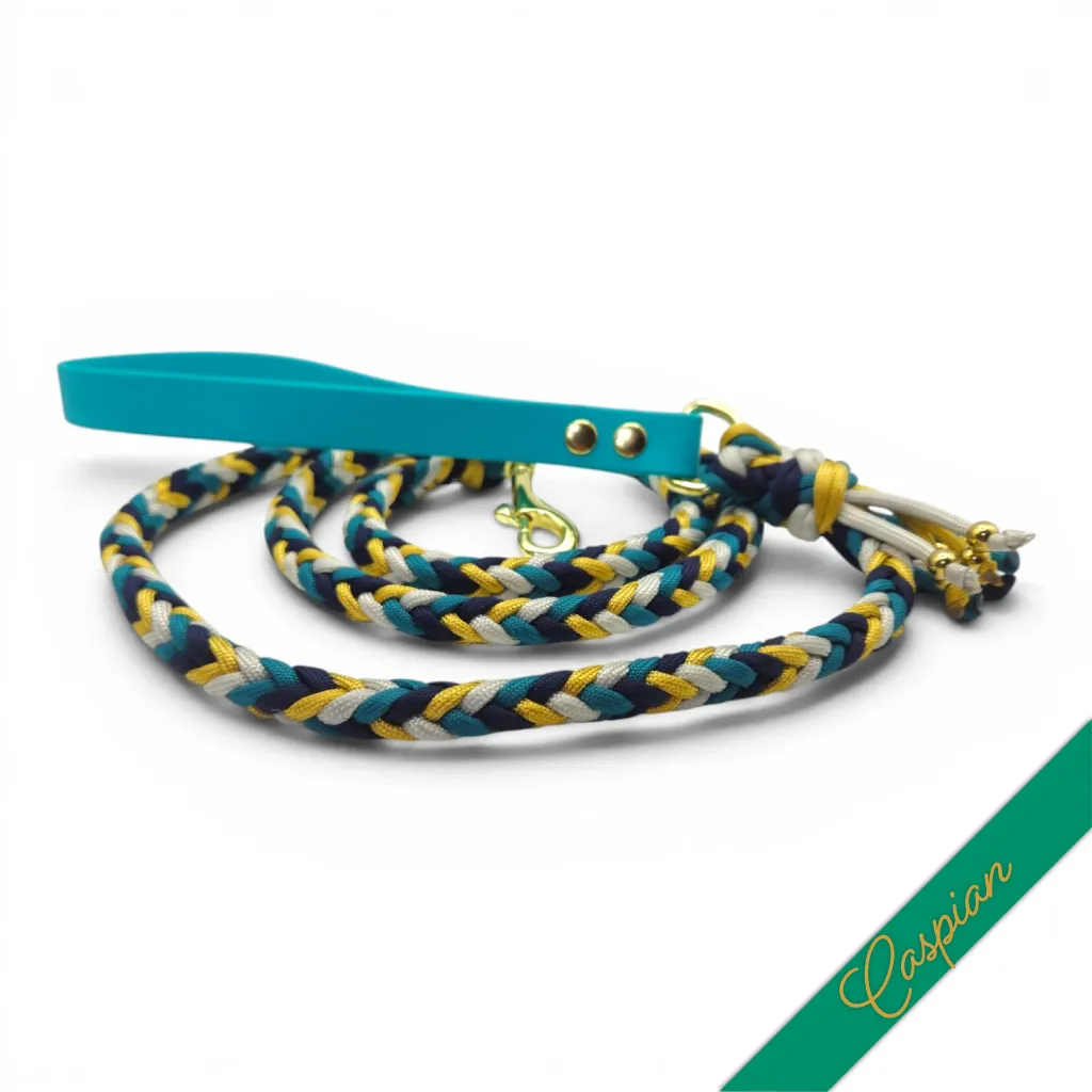 WILMINGTON LEAD-CASPIAN-WEB.webp