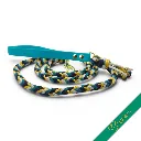 WILMINGTON LEAD-CASPIAN-WEB.webp