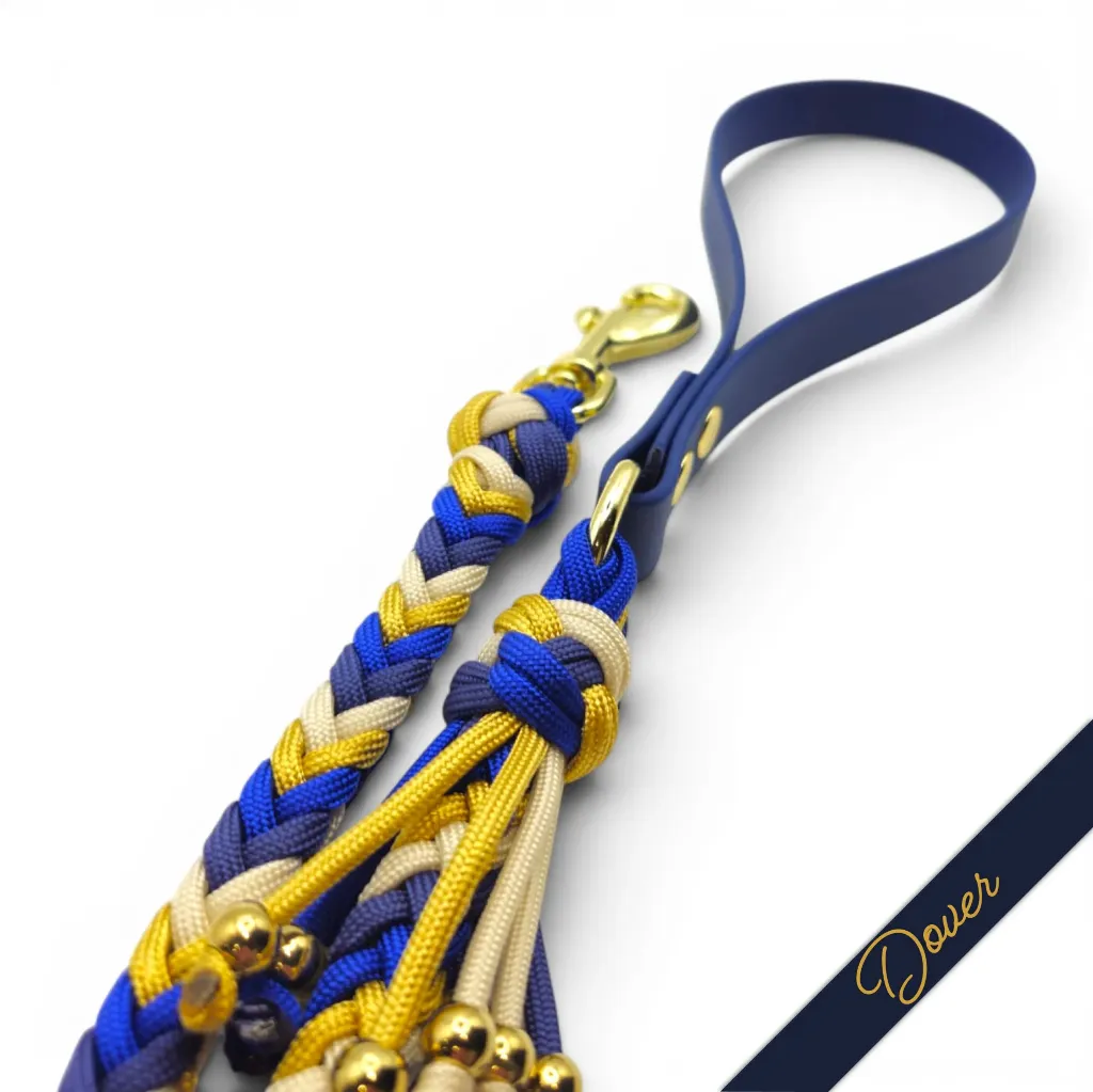 WILMINGTON LEAD-DOVER_1-WEB.webp