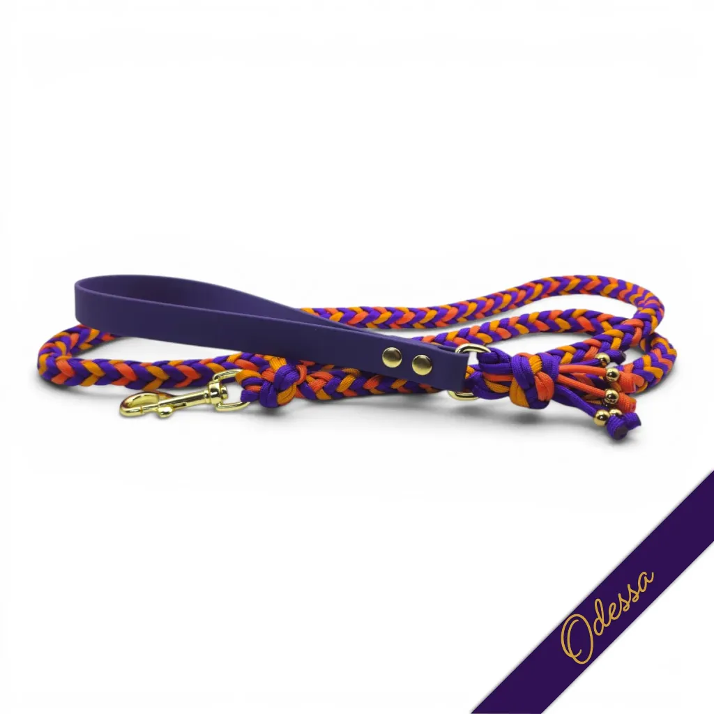 WILMINGTON LEAD-ODESSA_2-WEB.webp