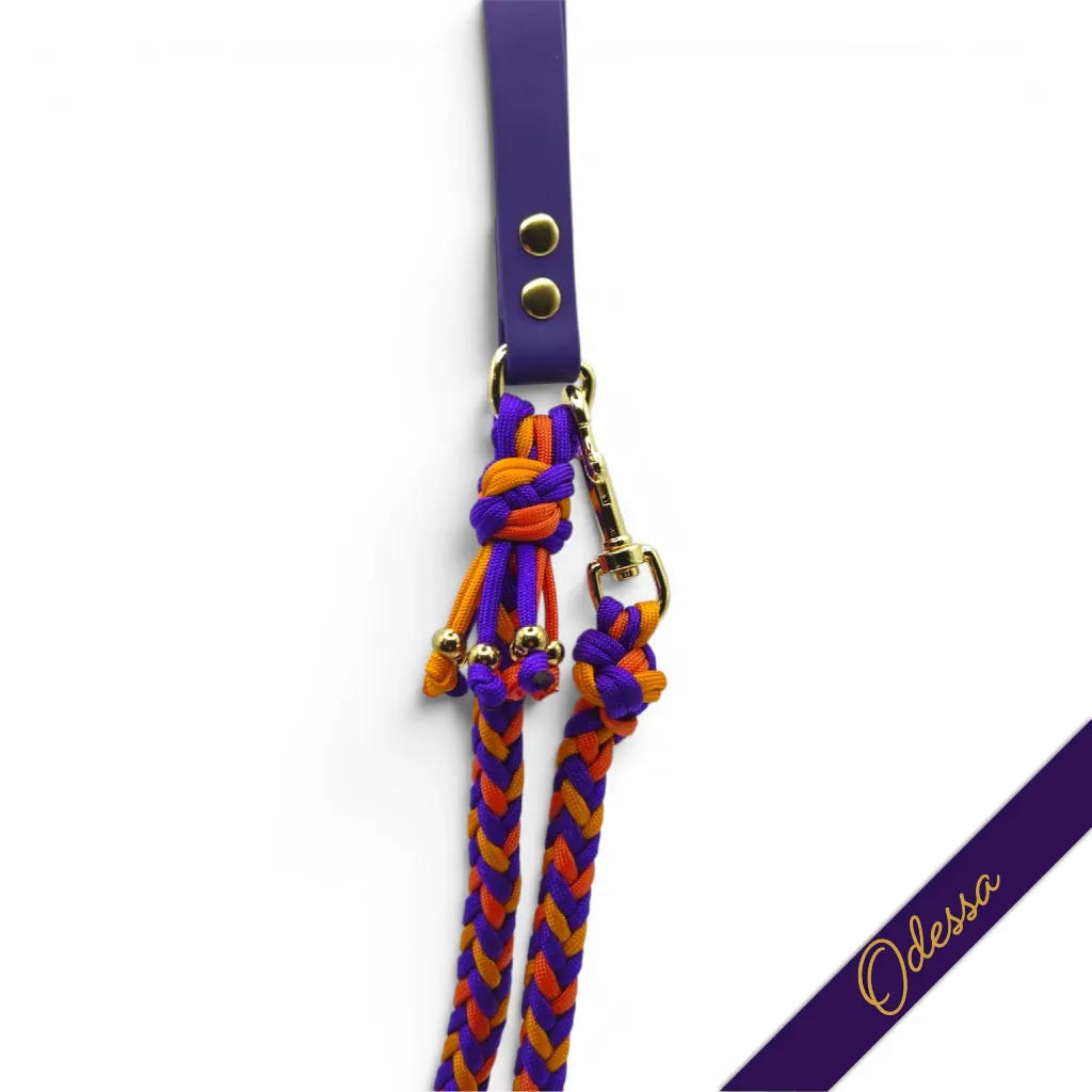 WILMINGTON LEAD-ODESSA_3-WEB.webp