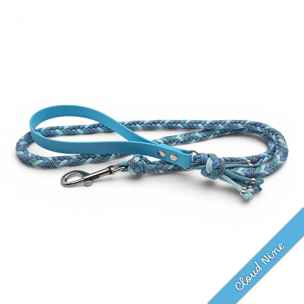 WILMINGTON LEAD-CLOUD NINE_2-WEB.webp