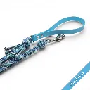 WILMINGTON LEAD-CLOUD NINE_1-WEB.webp