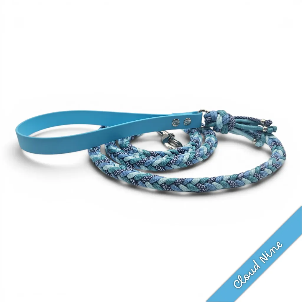 WILMINGTON LEAD-CLOUD NINE-WEB.webp