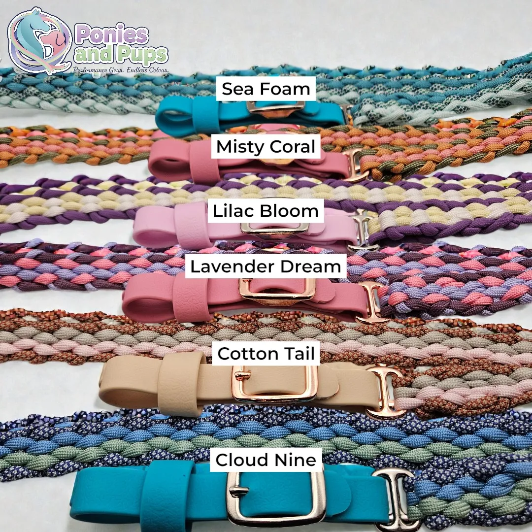 Groupshot02 (1).webp