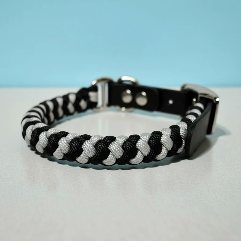 The Artisan Collar 03 - WEB.webp