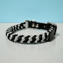 The Artisan Collar 03 - WEB.webp