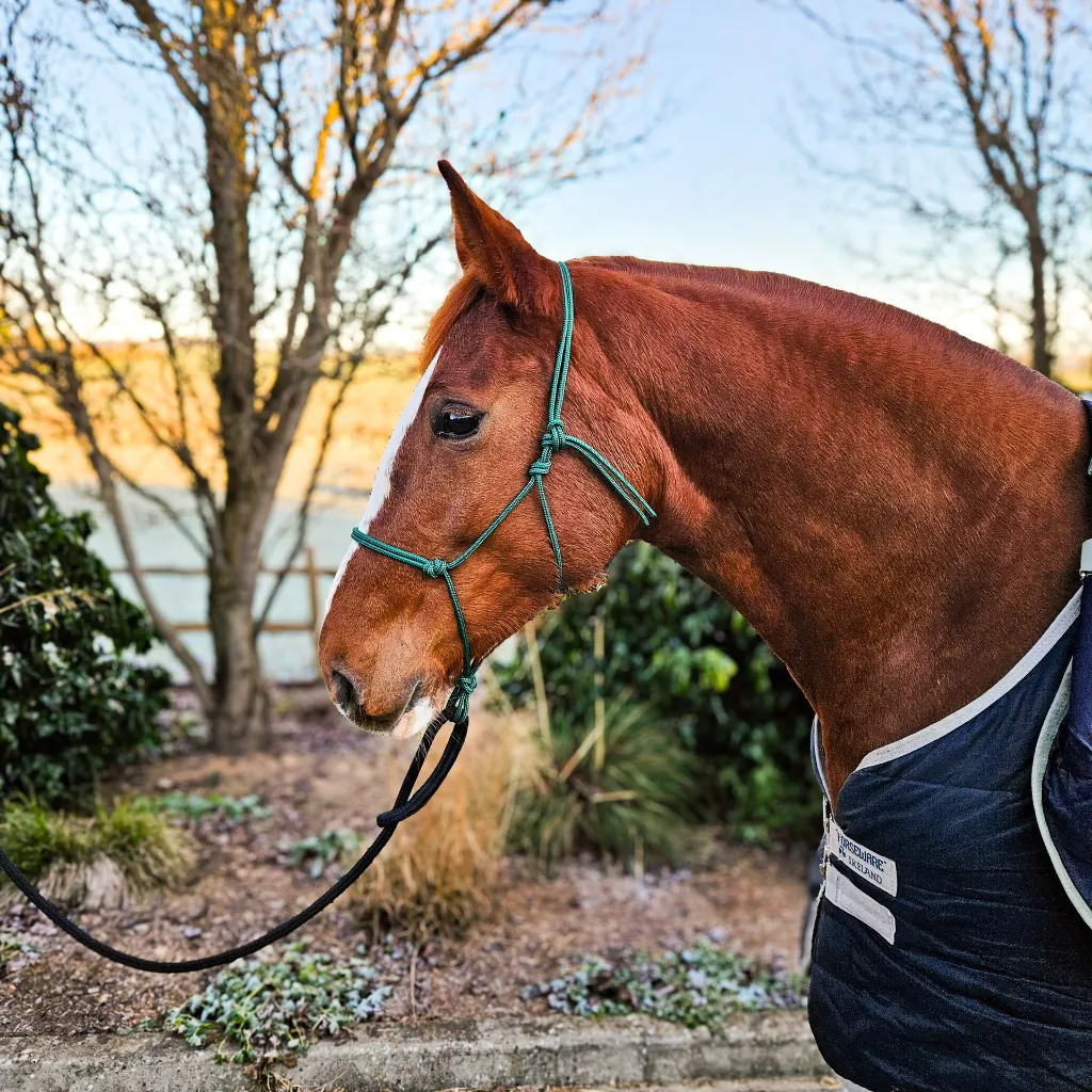 Premium-PPM-Rope-Halter-oslo-green-side