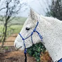 Premium-PPM-Rope-Halter-blue-raspberry-electric-blue-side