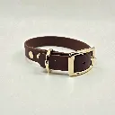 biothane-dog-collar-pioneer-brown-front