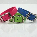 biothane-dog-collar-set-pop-front