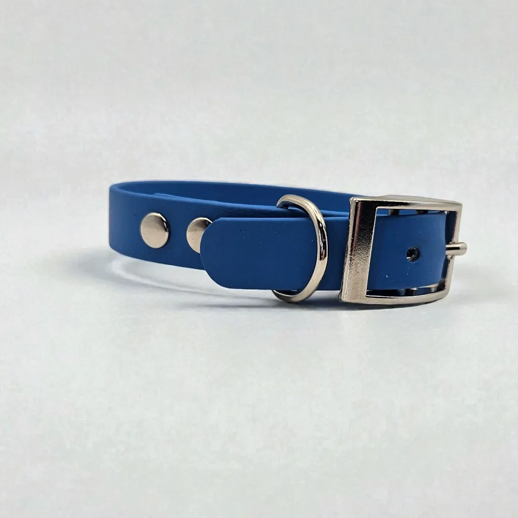 biothane-dog-collar-blue-raspberry-front